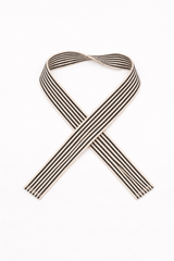 Stripe park bag strap on a white background